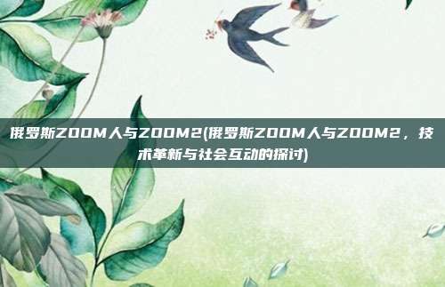 俄罗斯ZOOM人与ZOOM2(俄罗斯ZOOM人与ZOOM2，技术革新与社会互动的探讨)