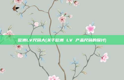 欧洲LV尺码大(关于欧洲 LV 产品尺码的探讨)