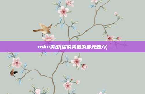 tobu美国(探索美国的多元魅力)