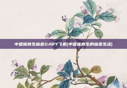 中国体育生宿舍GARY飞机(中国体育生的宿舍生活)