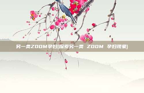 另一类ZOOM孕妇(探索另一类 ZOOM 孕妇现象)