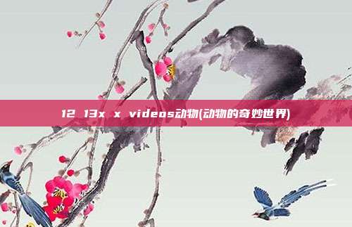 12 13x x videos动物(动物的奇妙世界)