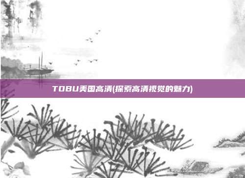 TOBU美国高清(探索高清视觉的魅力)