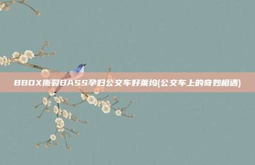 BBOX撕裂BASS孕妇公交车好莱坞(公交车上的奇妙相遇)