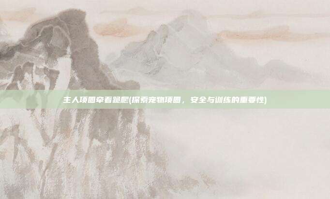 主人项圈牵着跪爬(探索宠物项圈，安全与训练的重要性)